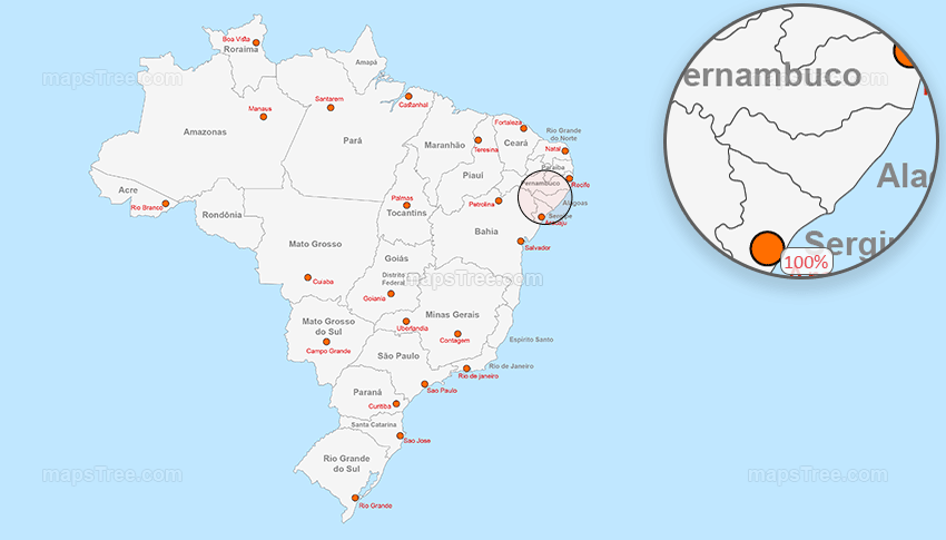 Vector Map of Brazil - Layered States