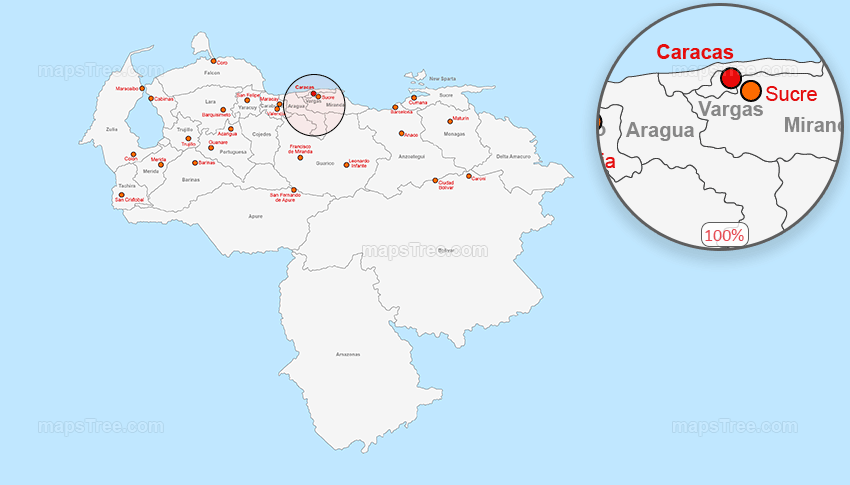 Vector Map of Venezuela - Layered Estados